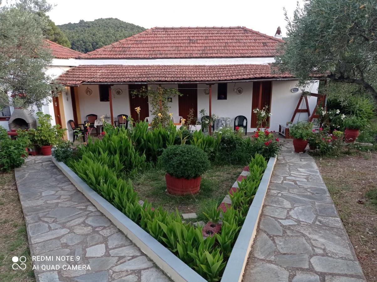 Armonia Guesthouse Panormos  Zewnętrze zdjęcie