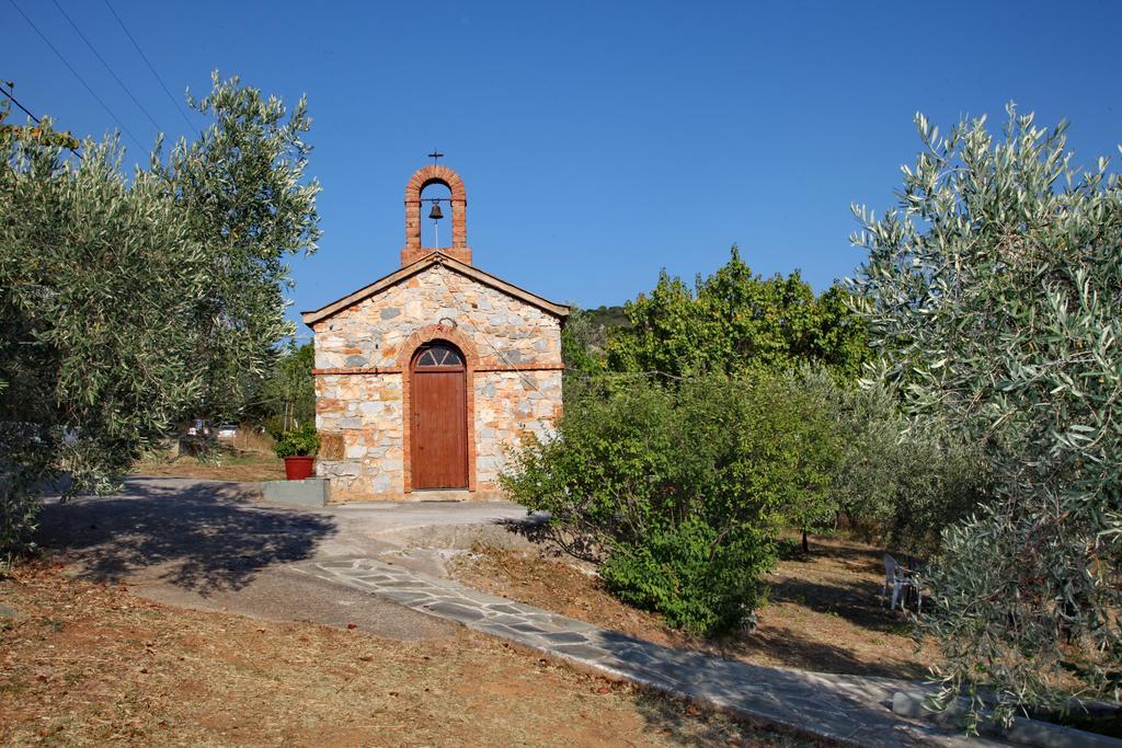 Armonia Guesthouse Panormos  Zewnętrze zdjęcie